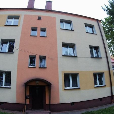 Апартаменты Studio Skarzyko Kamienna Скаржиско-Каменна Экстерьер фото